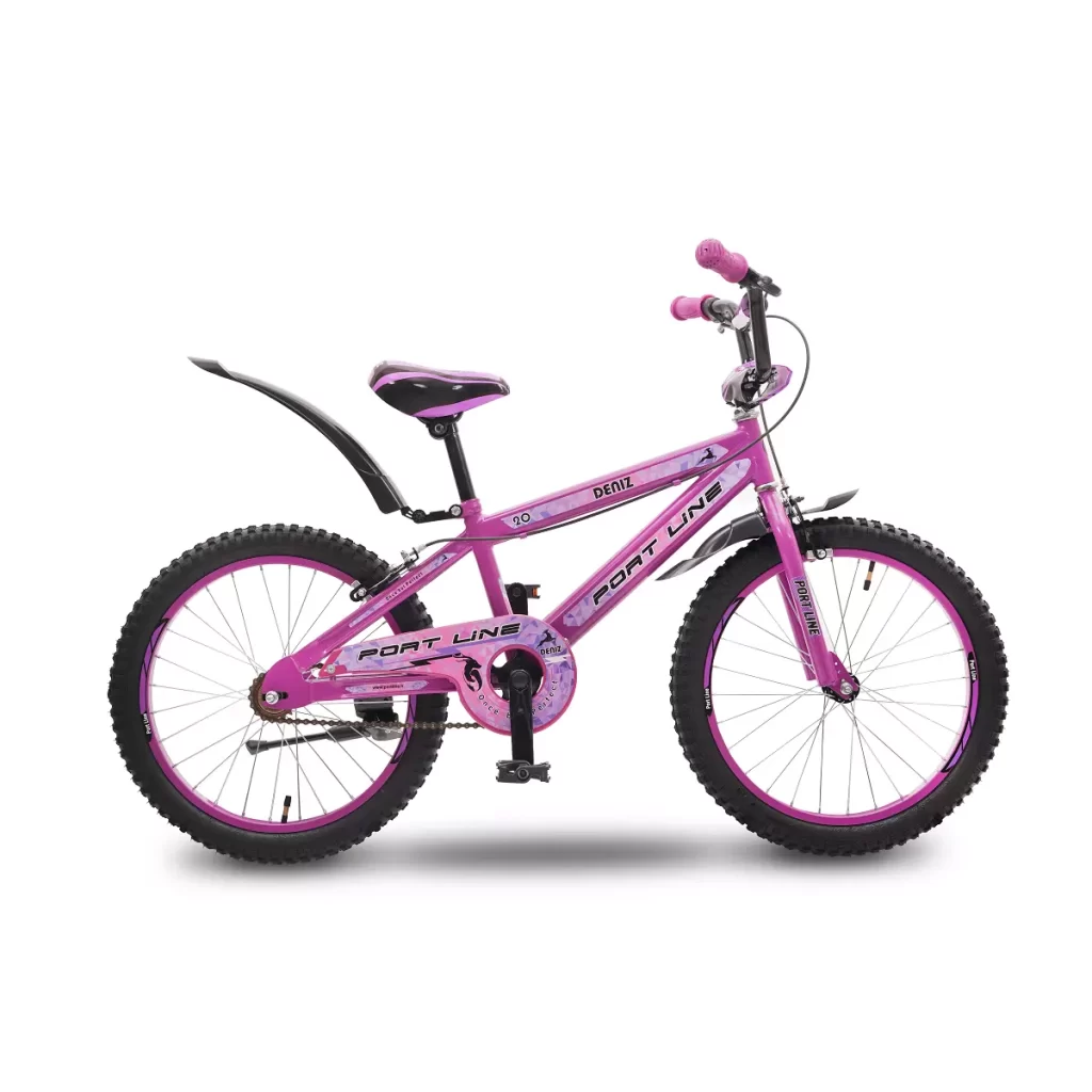 دوچرخه چیاوا مدل دنیز سایز 20 (بنفش)